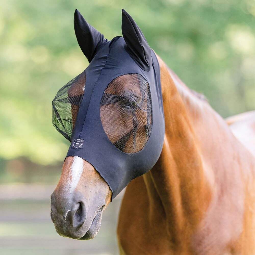 Fly Masks