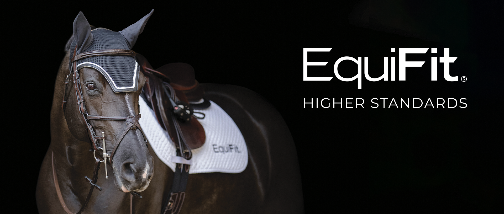 EquiFit - Higher standards