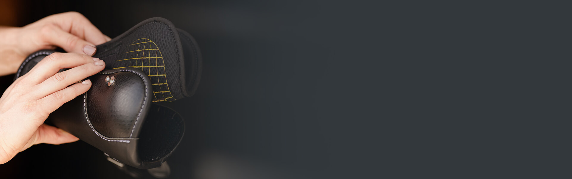 longevitybanner