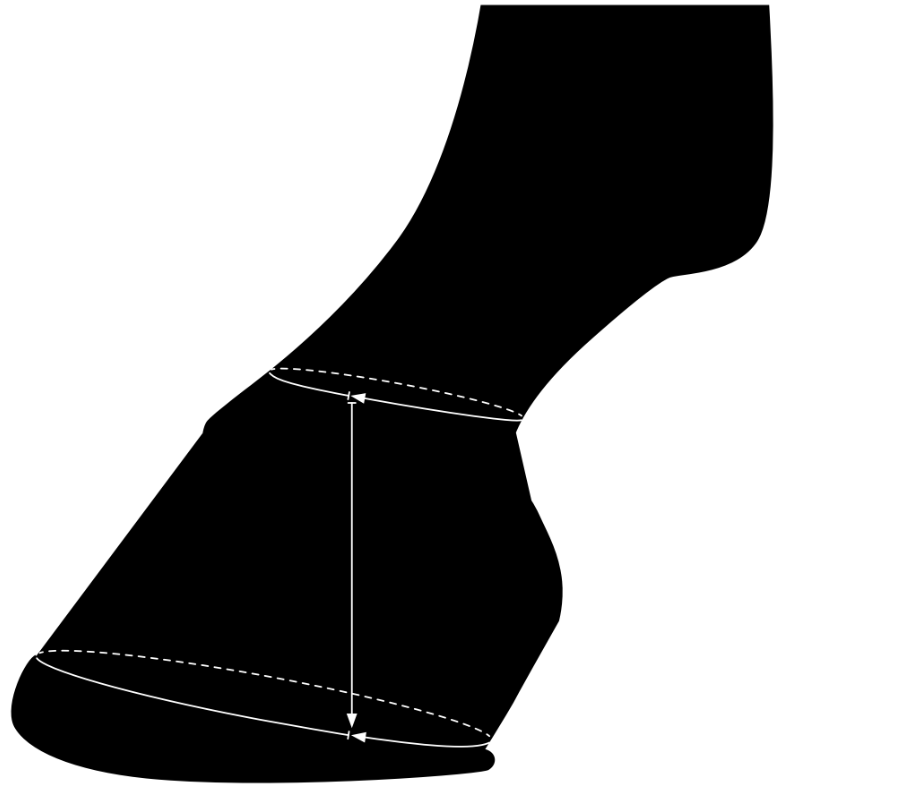 BLB Size Guide Image